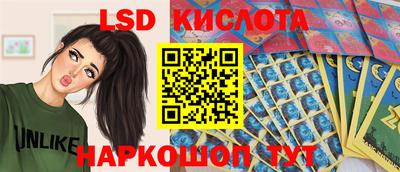 винт Краснодар