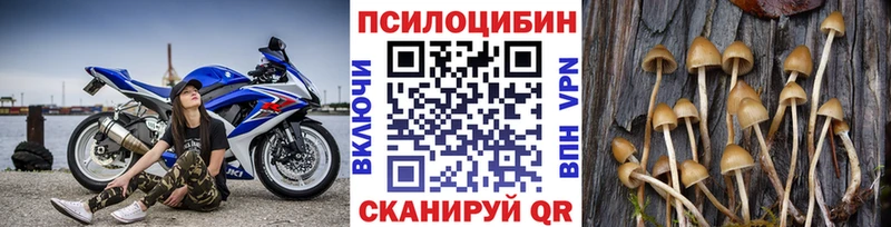 Псилоцибиновые грибы мицелий  Фрязино 