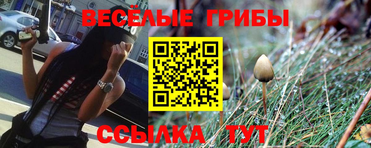 Галлюциногенные грибы мицелий  Фрязино  Псилоцибиновые грибы мухоморы 