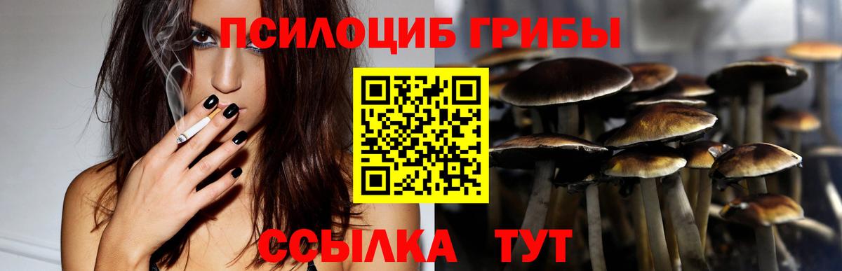 Фрязино  Галлюциногенные грибы GOLDEN TEACHER  Вход с VPN 