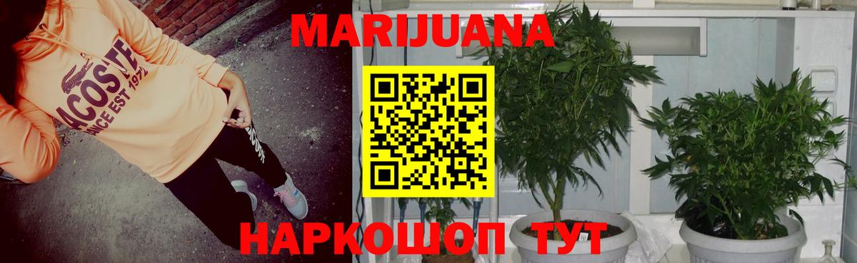 Шишки марихуана Ganja  Фрязино  Канабис сатива  Шишки марихуана AK-47 